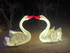 -青龙湖公园
