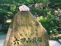 -神户市立六甲山牧场