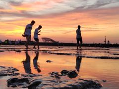 -南汇嘴观海公园