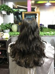 烫染-乌贝卡专业假发