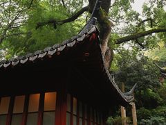 -西泠印社