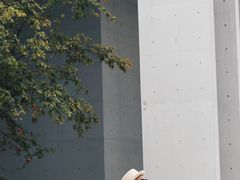 -中国宣纸文化园