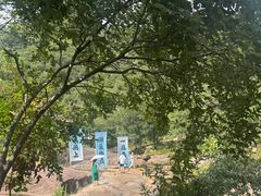 -武汉姚家山旅游景区