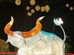 -文华公园(禅城区)