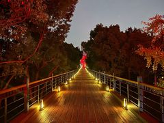 -中国浦东干部学院