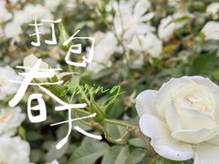 -人民公园(罗湖区)