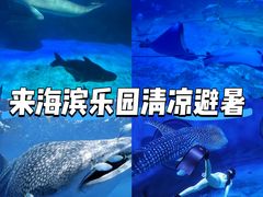 -烟台海昌鲸鲨海洋公园
