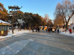 -长春市南湖公园