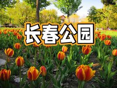 -长春公园(普阳街道)