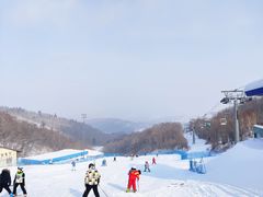 -亚布力新体委滑雪场