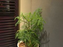 -萬國春·中菜馆(颐和公馆店)