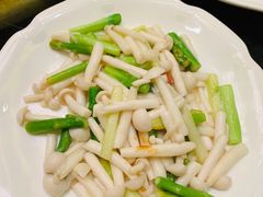 -新南华大酒店(广中店)