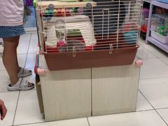 -钓仓鼠(洋桥北里小区店)