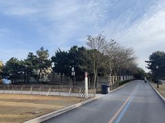 -小麦岛公园