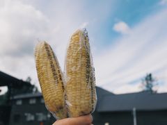 -富田农场