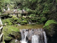 -牛背梁国家森林公园