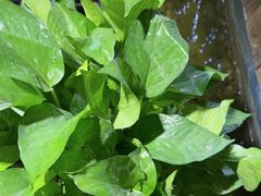 -邈墨茶馆(凤起路店)