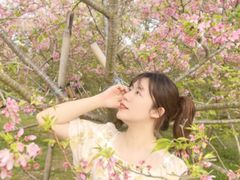 -天适樱花悠乐园