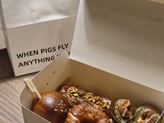 -WHEN PIGS FLY当猪飞