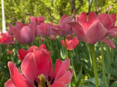 -长春公园(普阳街道)