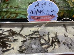 -南海食街(佛冈店)