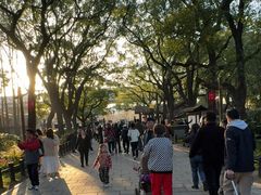 -共青国家森林公园-售票处