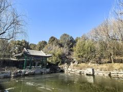 -颐和宾馆-玉露中餐厅
