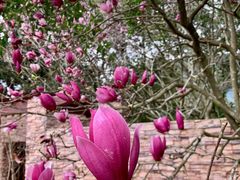 -广州市流溪河国家森林公园