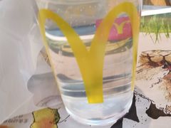 美汁源椰子水饮-麦当劳(红旗路店)