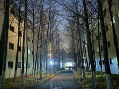 -北京国家会计学院