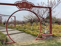 -上海海湾国家森林公园