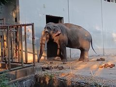 -合肥野生动物园
