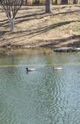 -大望京儿童游乐场