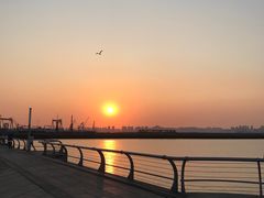 -东港音乐喷泉广场