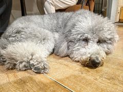 -沏点Trattoria意大利餐厅(新街口店)