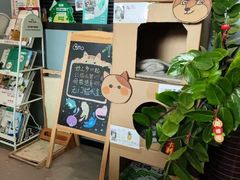 -御宝贝·A梦猫科宠物医院(国际猫友好医院)