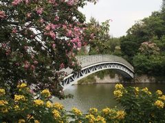 -华侨城湿地公园