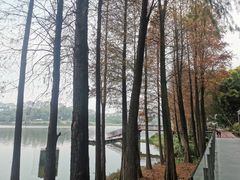 -白云湖畔酒店-湖畔餐厅