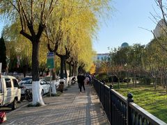 环境-马濠公园