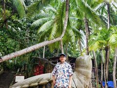 -海南分界洲岛旅游区