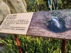 -武汉动物园