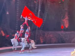 -广州长隆国际大马戏