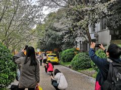 -武汉大学-樱园