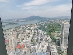 -紫峰大厦