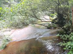 -赤水丹霞旅游区·佛光岩