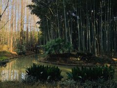 -同里国家湿地公园