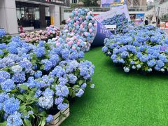 -HALO广场(梨园路店)