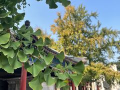 -北京石刻艺术博物馆(五塔寺)