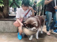 -TrueLove @ Neverland (Husky Cafe)