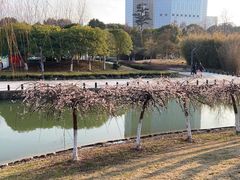 -白塘生态植物园